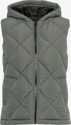 OXMO Bodywarmers Bodywarmer Stana Dames Grijs